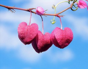 Ci sono certi ieri, amore mio, che quando tornano